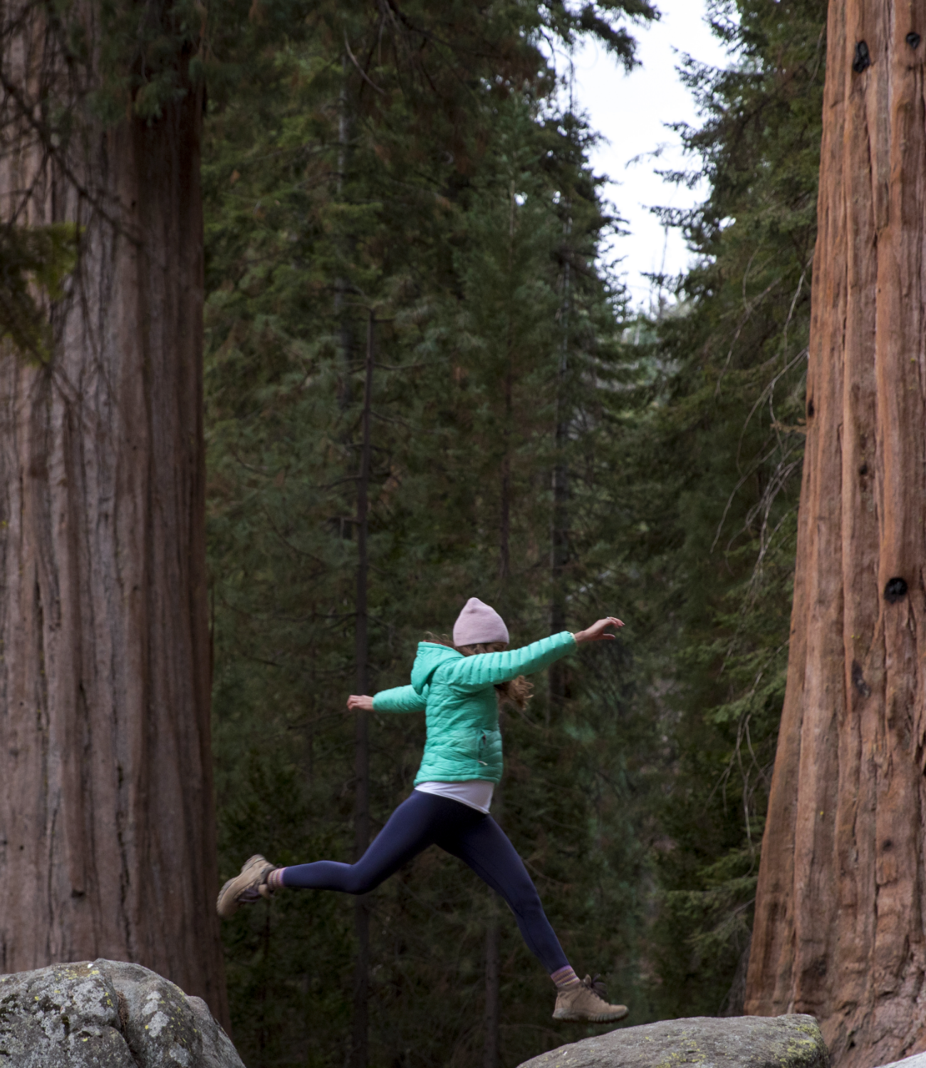 take wellness to new heights