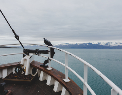 The view off the front of a boat, looking at Iceland's pristine coastline